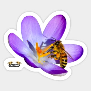 Honey bee proud / Swiss Artwork Photography Sticker